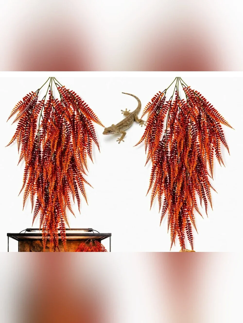 Realistic Boston Fern Terrarium Plants- Pack of 2